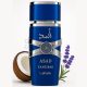 Lattafa Asad Zanzibar (100 ML) Eau de Parfum