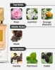 Lattafa Ana Abiyedh Poudree (5 ML) Eau de Parfum